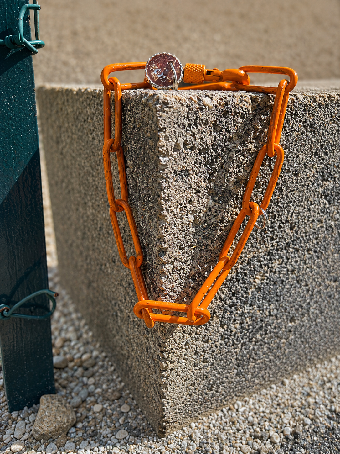 CROC TACHES – Colliers Chaînes Colorés pour Chien