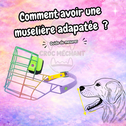 GUIDE DE MESURE POUR LES MUSELIERES